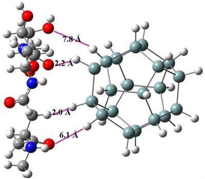 Optical Response of Sila-Fulleranes in Interaction With Glycoproteins for Environmental Monitoring